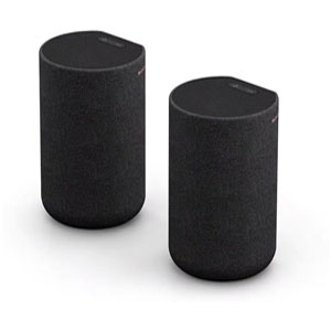 Беспроводные тыловые динамики Sony SA-RS5